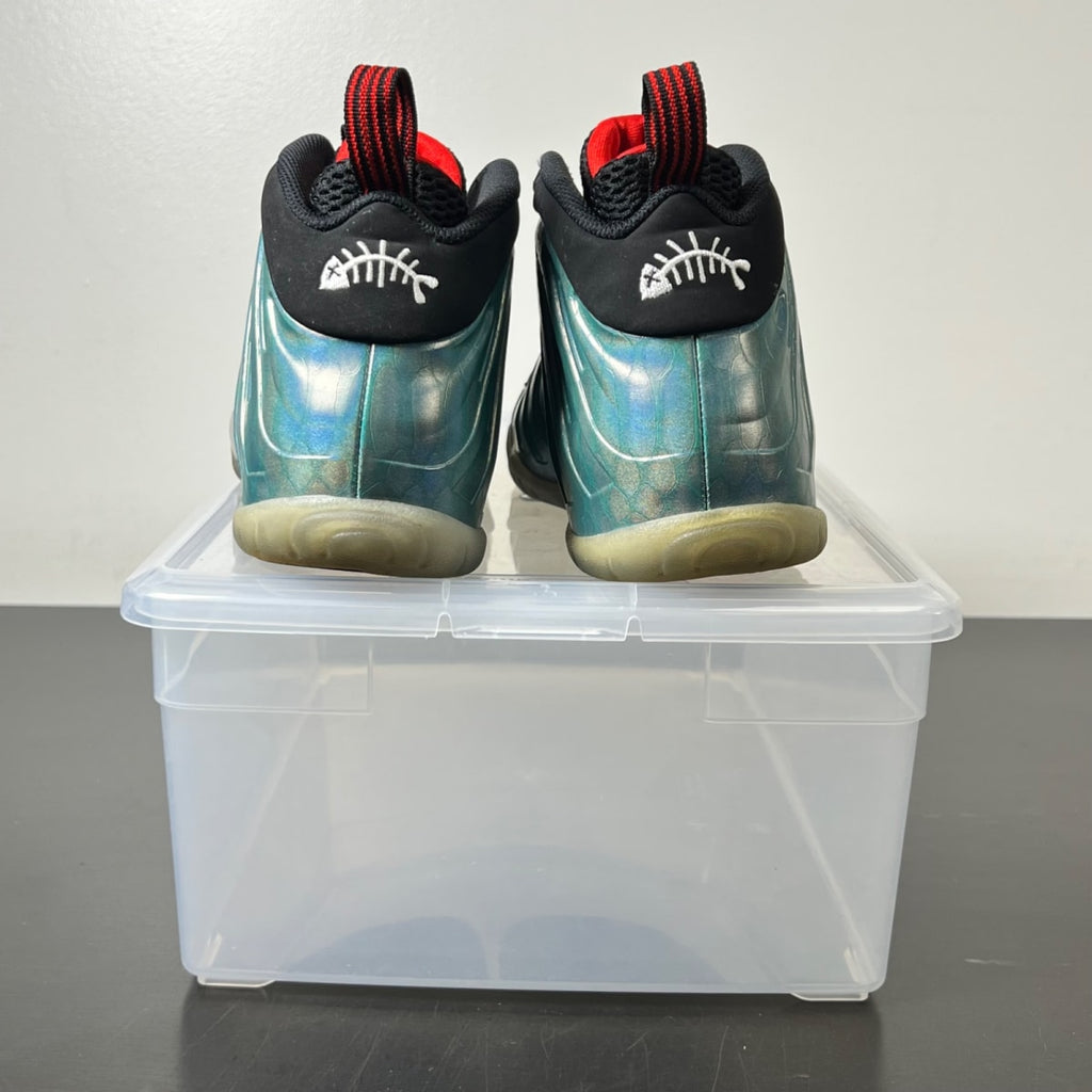 Nike Air Foamposite One Gone Fishing (GS) 7Y (Lightly Worn Pre-Owned)NikeDk Emerald/Black-Challenge Red - Image 6