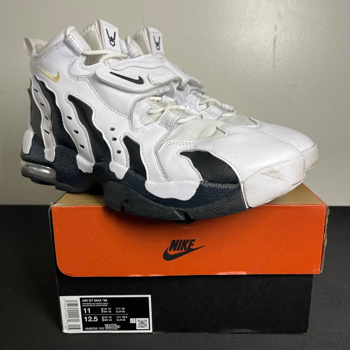 Nike Air DT Max '96 Colorado Away White Black (Size 11) - aux