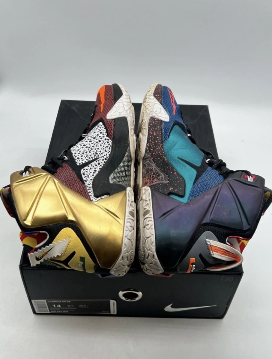 Nike LeBron 12 What the LeBron 14 (Moderately Worn Pre-Owned)NikeMulti-Color/Phantom-Multi-Color - Image 9
