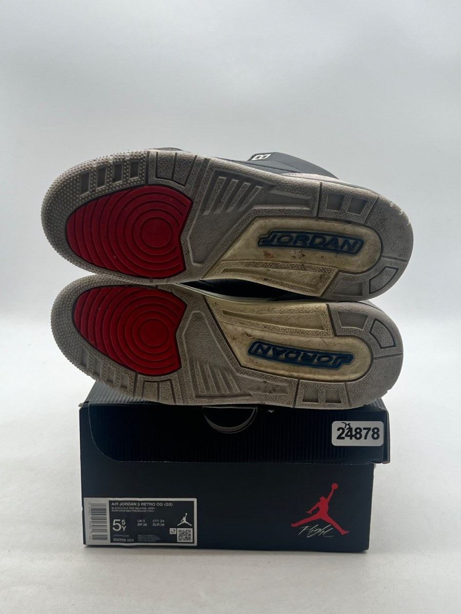 Jordan 3 Retro OG Rare Air (GS) 5.5Y (Lightly Worn Pre-Owned)JordanBlack/Chile Red/Neutral Grey/Military Blue/Coconut Milk - Image 8