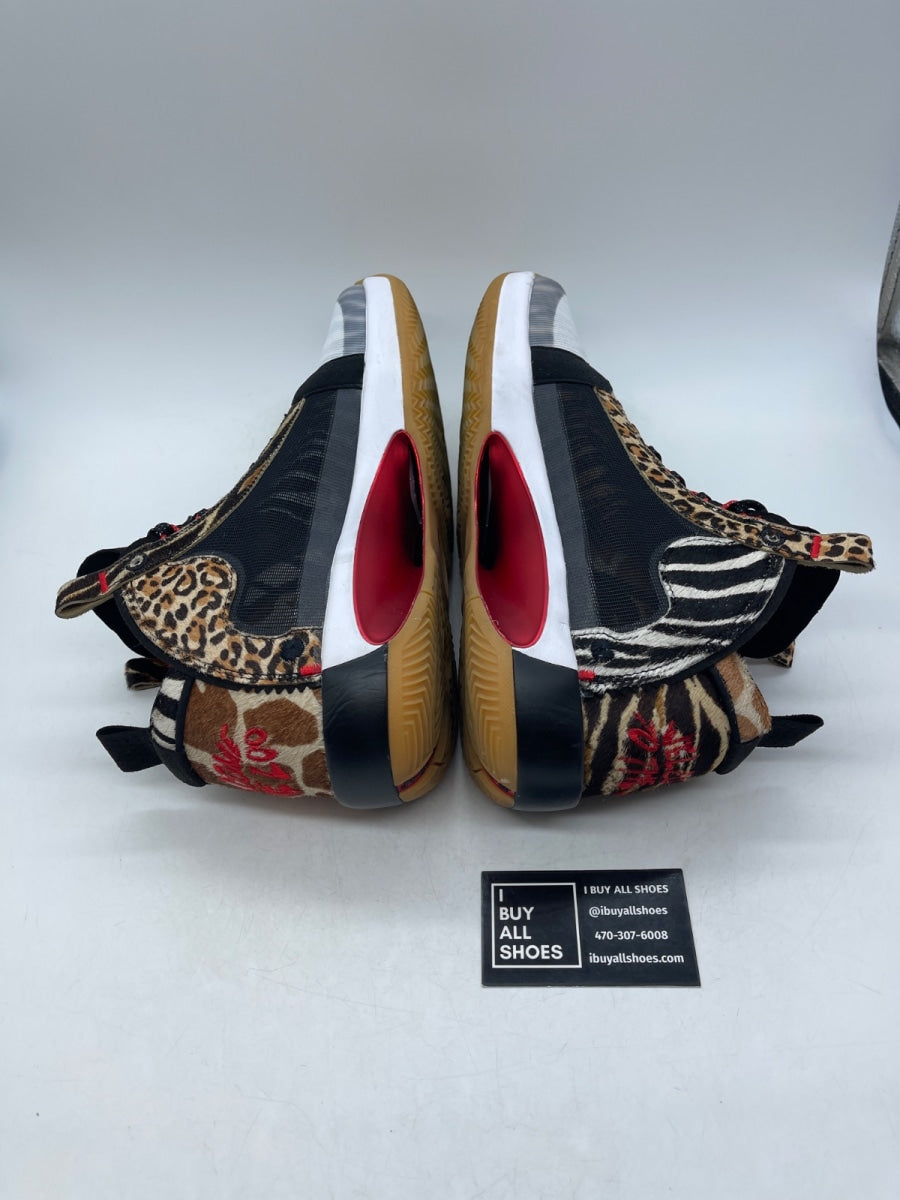 Jordan XXXIV Jayson Tatum Welcome To The Zoo 13 (Moderately Worn Pre-Owned) - Image 6