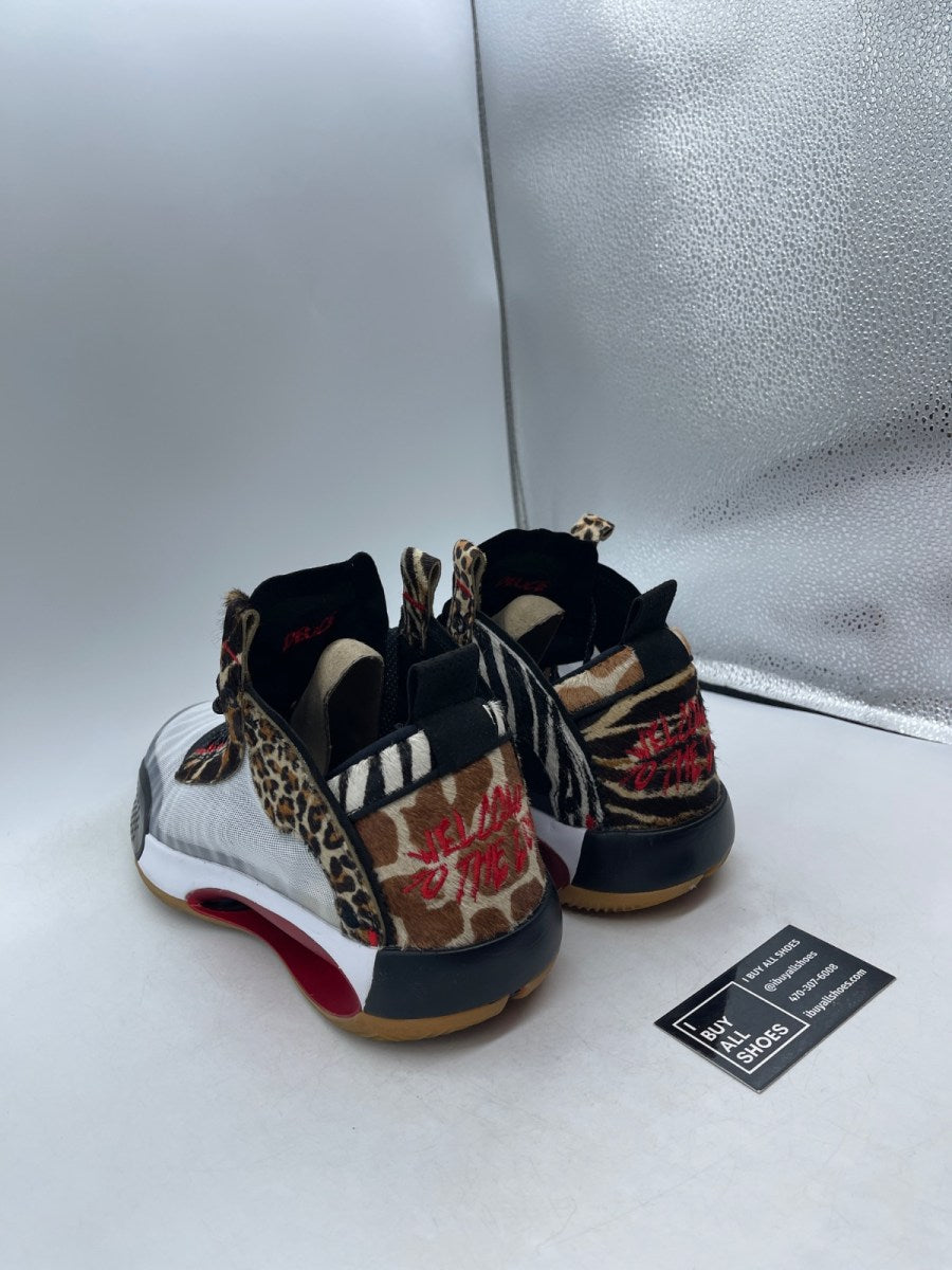 Jordan XXXIV Jayson Tatum Welcome To The Zoo 13 (Moderately Worn Pre-Owned) - Image 4