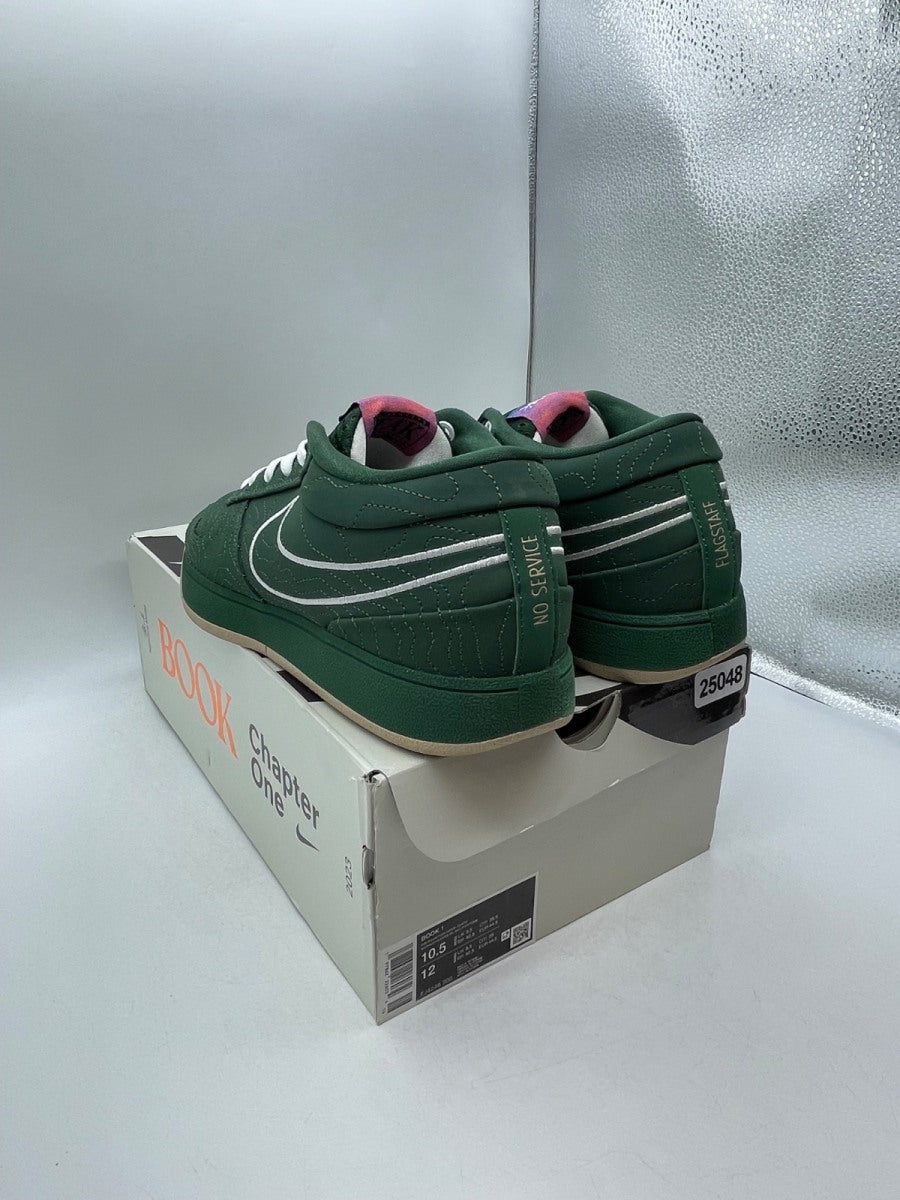 Nike Book 1 Flagstaff 10.5 (Moderately Worn Pre-Owned)NikeFir/Phantom-Hemp-White - Image 4