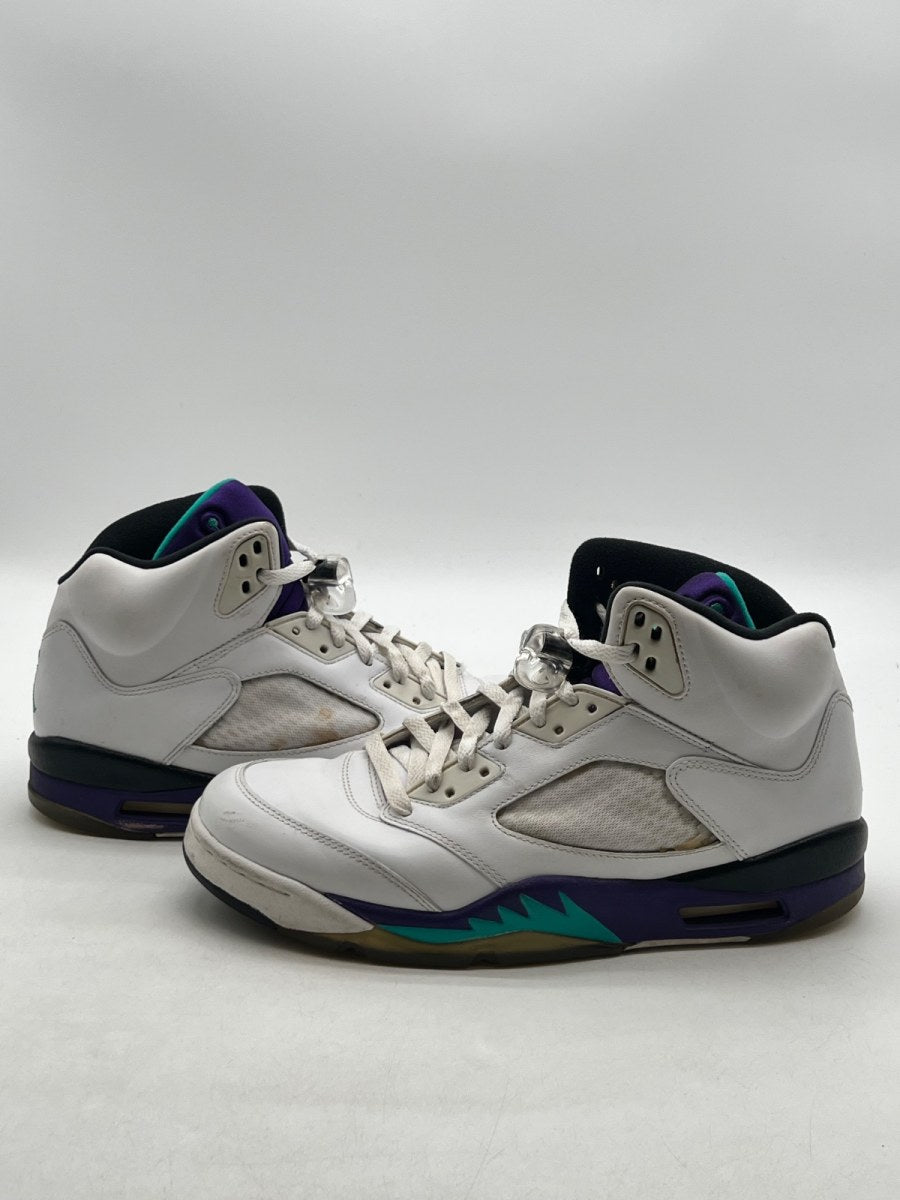 Jordan 5 Retro Grape (2013) (Size 10) - Image 1