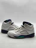 Jordan 5 Retro Grape (2013) (Size 10) - Image 1