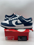 Nike Dunk Low Valerian Blue 14 (Heavily Worn Pre-Owned) - Image 1