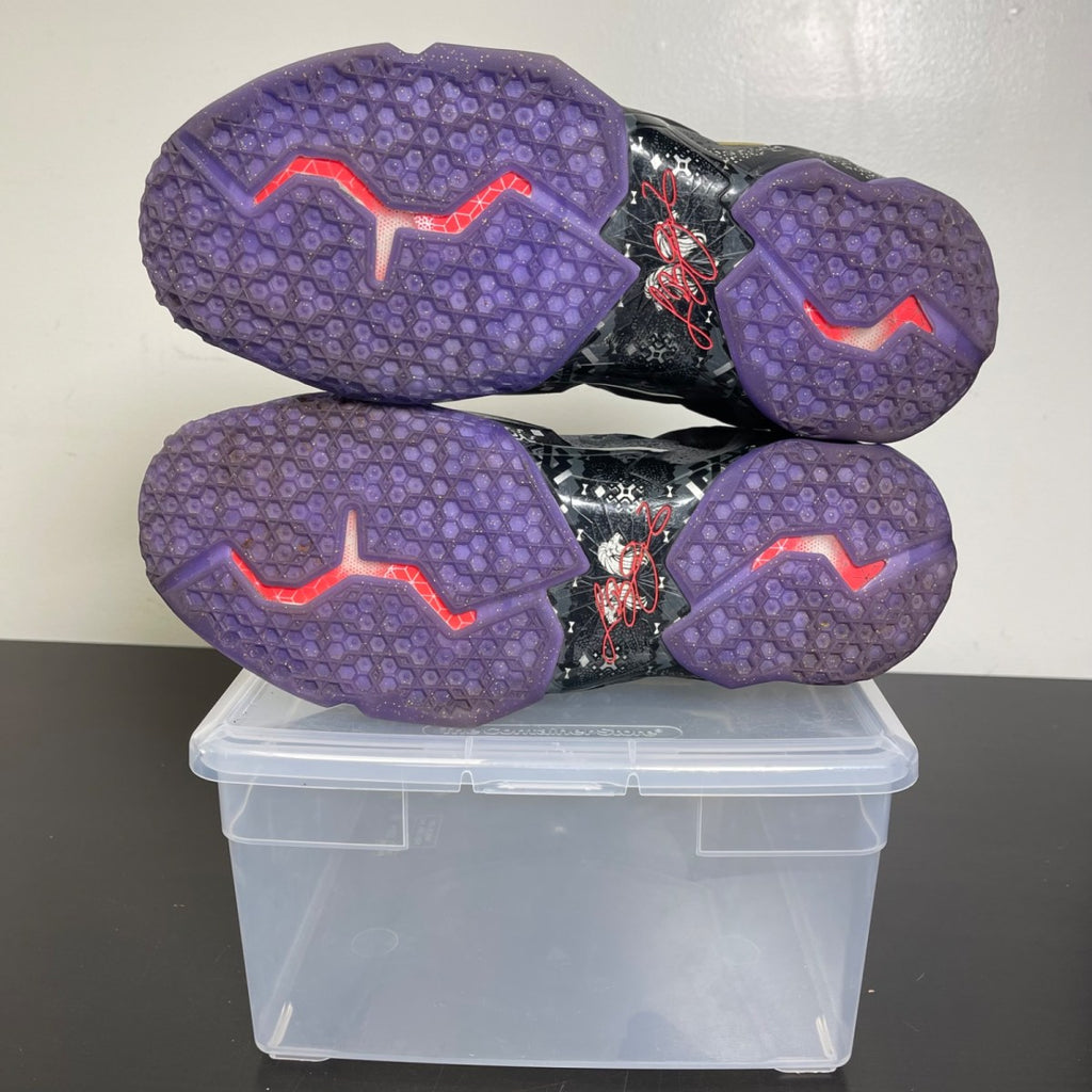 Nike LeBron 11 Black History Month 10.5 (Moderately Worn Pre-Owned)NikeAnthracite/Metallic Gold-Purple Venom - Image 5
