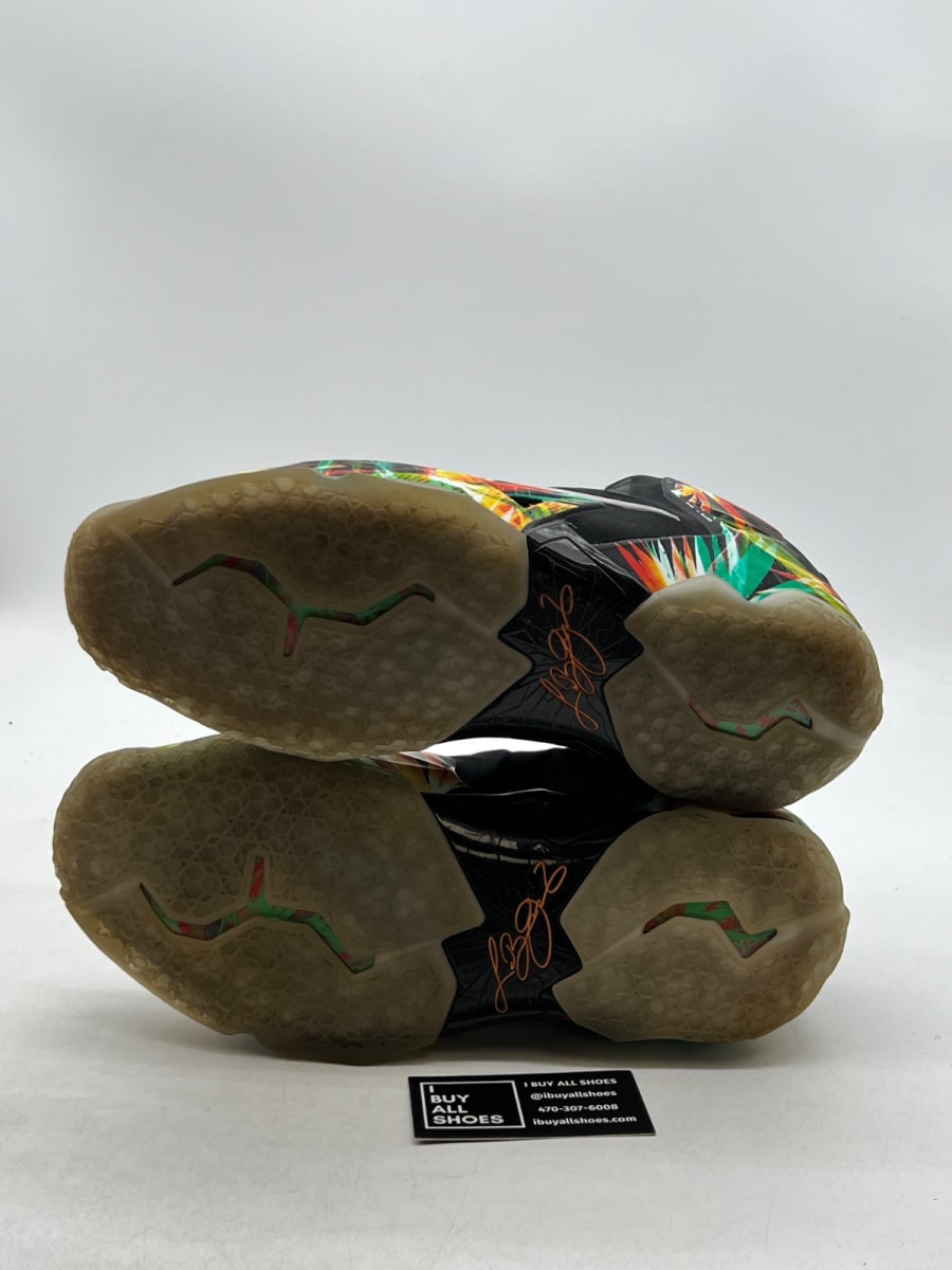 Nike LeBron 11 Everglades 13 (Lightly Worn Pre-Owned)