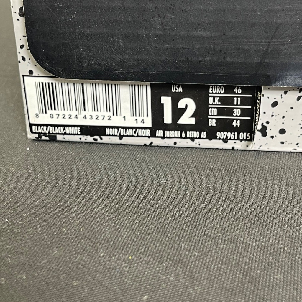Jordan 6 Retro All-Star Chameleon (2017) 12 (Moderately Worn Pre-Owned)JordanBlack/Black-Metallic Silver-White - Image 7