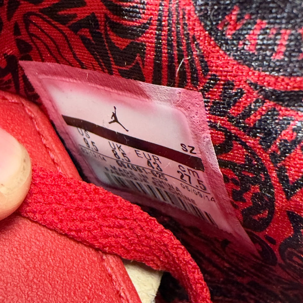 Jordan 6 Retro History of Jordan (Spiz'ike) (Size 9.5) - Image 7