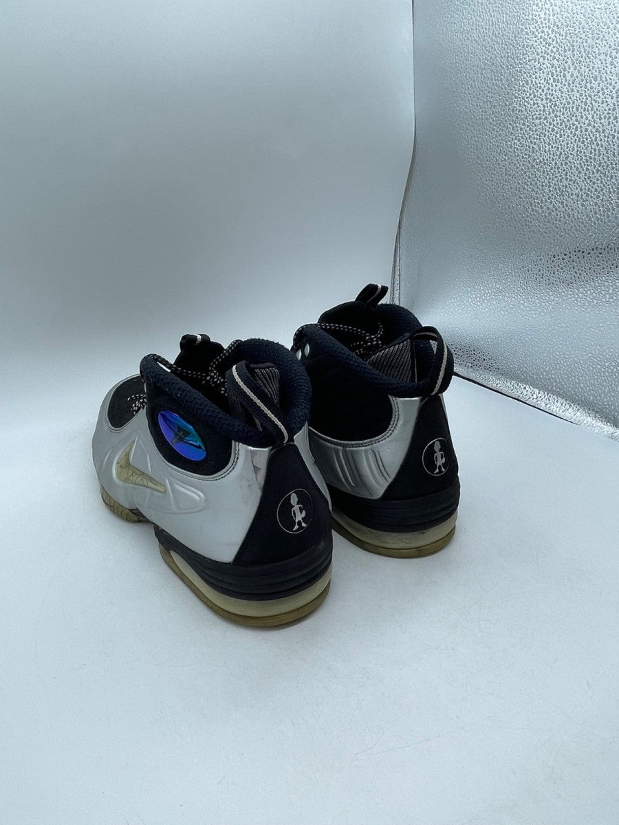 Nike Air 1/2 Cent Silver 11 (Moderately Worn Pre-Owned)