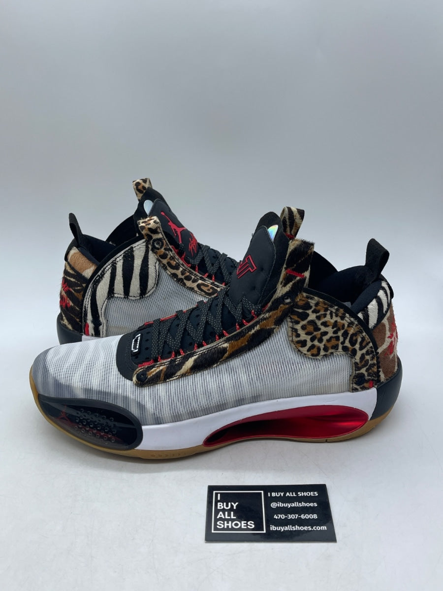 Jordan XXXIV Jayson Tatum Welcome To The Zoo 13 (Moderately Worn Pre-Owned) - Image 1