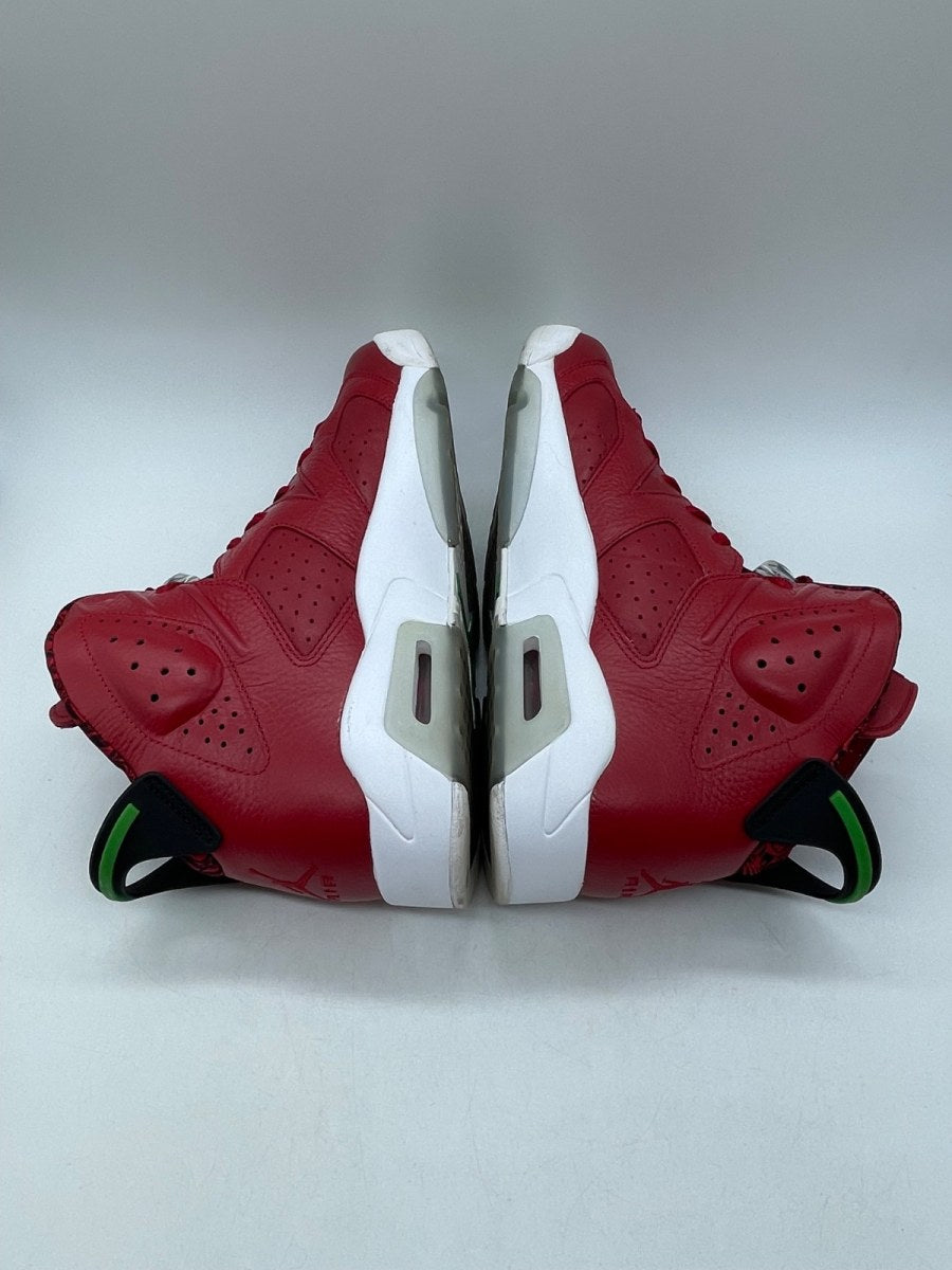 Jordan 6 Retro History of Jordan (Spiz'ike) 10.5 (Moderately Worn Pre-Owned) - Image 6