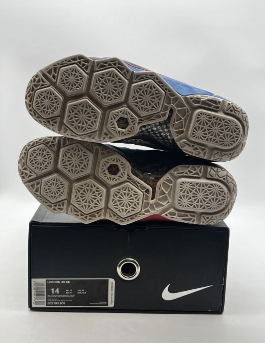 Nike LeBron 12 What the LeBron 14 (Moderately Worn Pre-Owned)NikeMulti-Color/Phantom-Multi-Color - Image 8