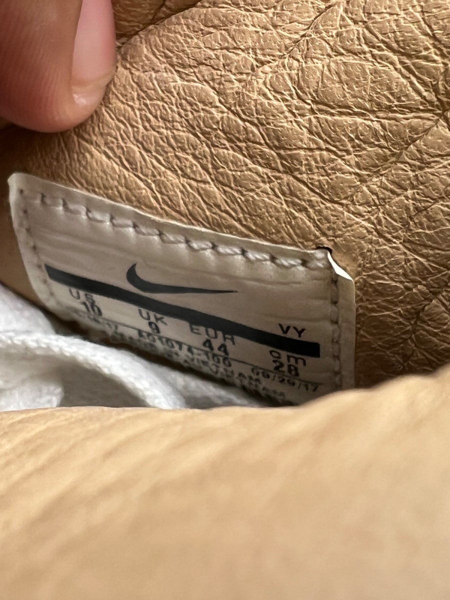 None - Image 8
