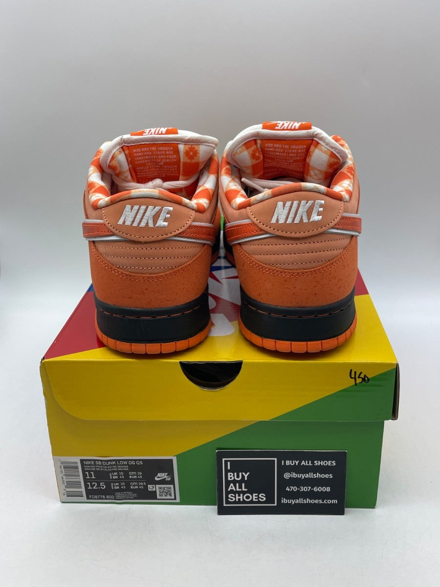 Nike SB Dunk Low Concepts Orange Lobster 11 (Moderately Worn Pre-Owned) - Image 3