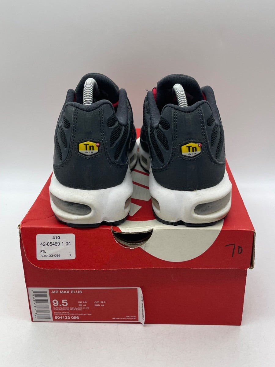 Nike Air Max Plus 9.5 (Moderately Worn Pre-Owned)Nike - Image 3